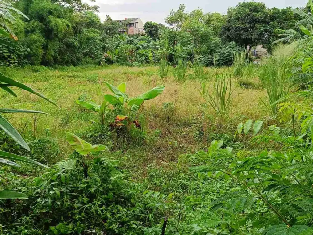 Termurah, Tanah Kavling Siap Bangun di Cipayung Jakarta Timur