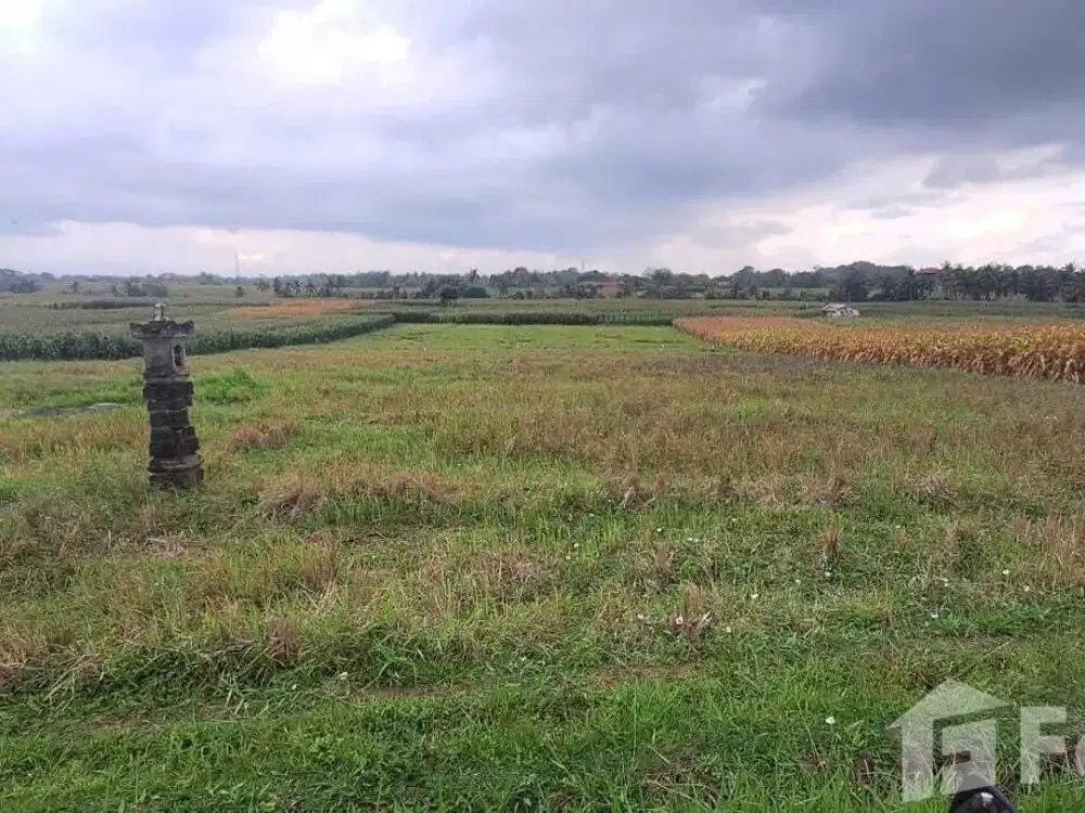Land for sale in Kerambitan, Bali