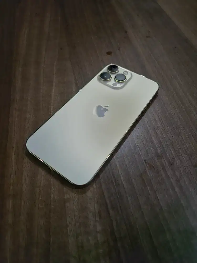 Iphone 13 Pro Max 256 GB