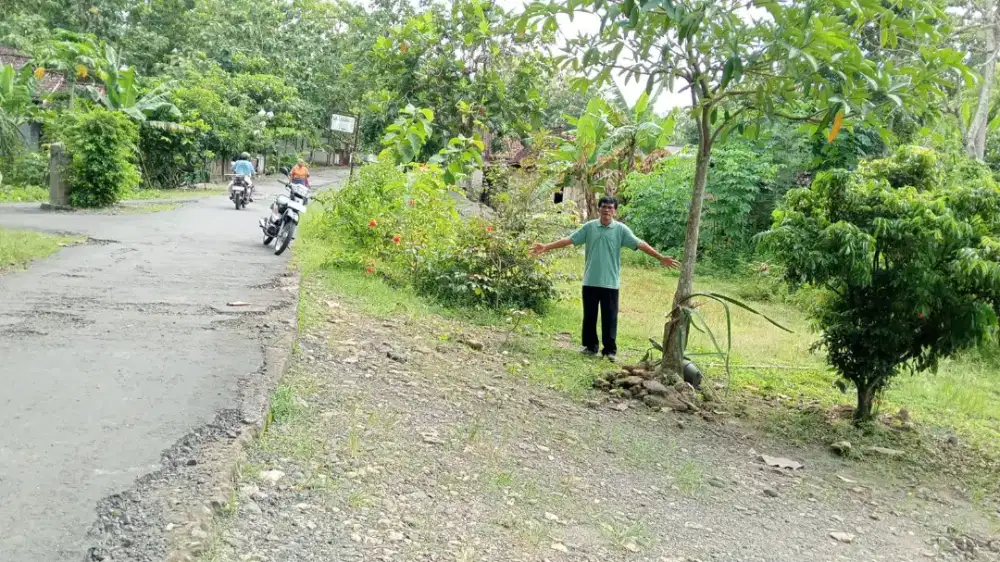 Jual tanah di sentolo kp