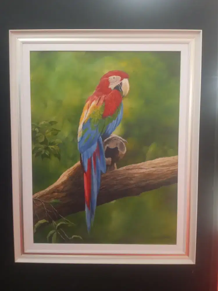 Lukisan Burung Macaw Realis – Bersertifikat + Frame