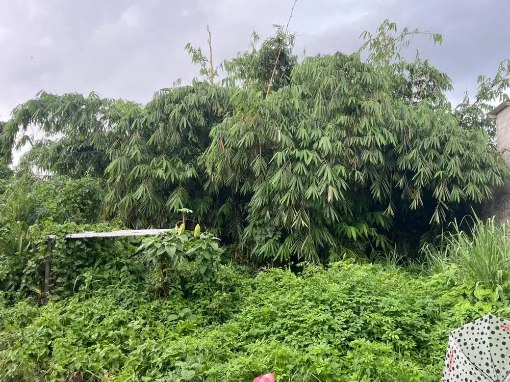 Tanah luas 301 meter gdc depok