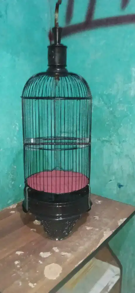 Kandang Holopet Mulus