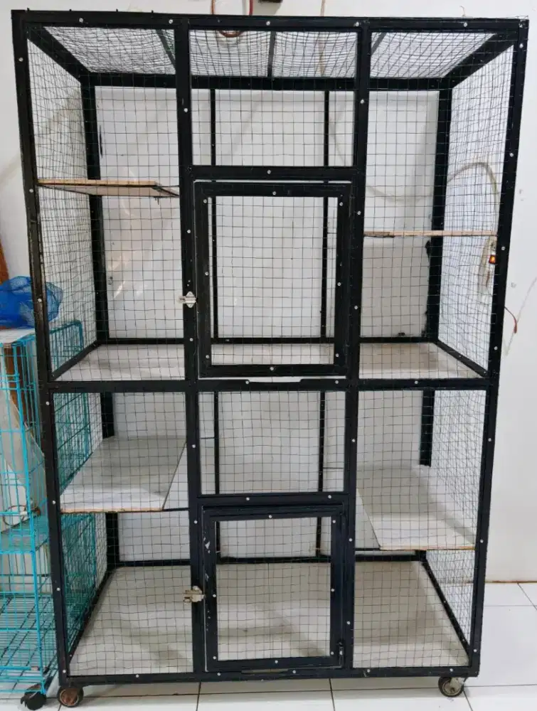 Kandang kucing Jumbo