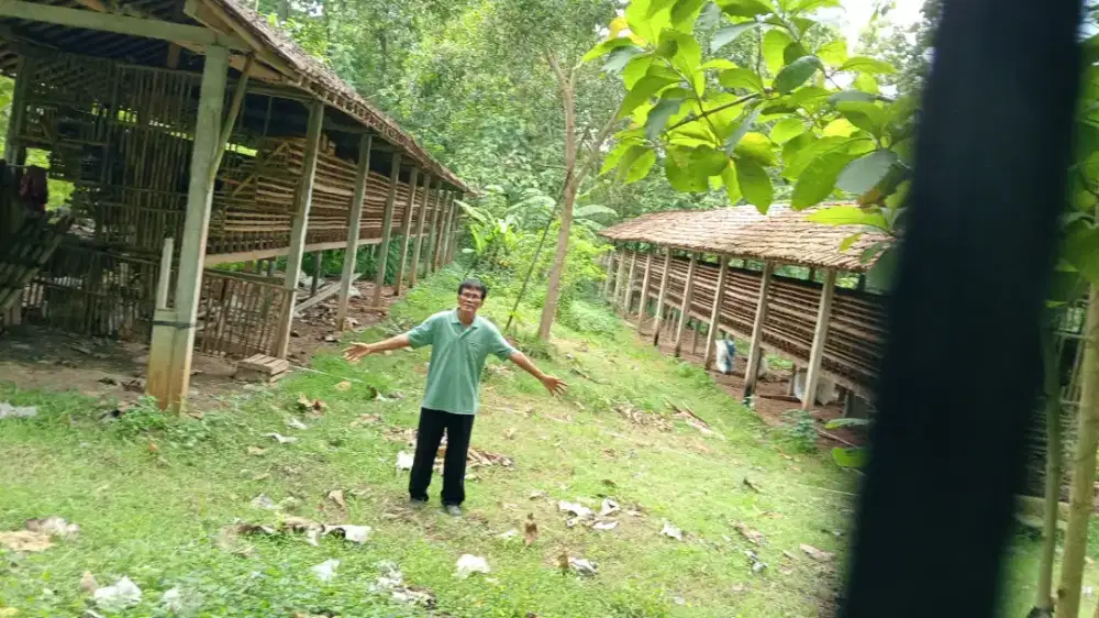 Jual tanah di lendah Kp