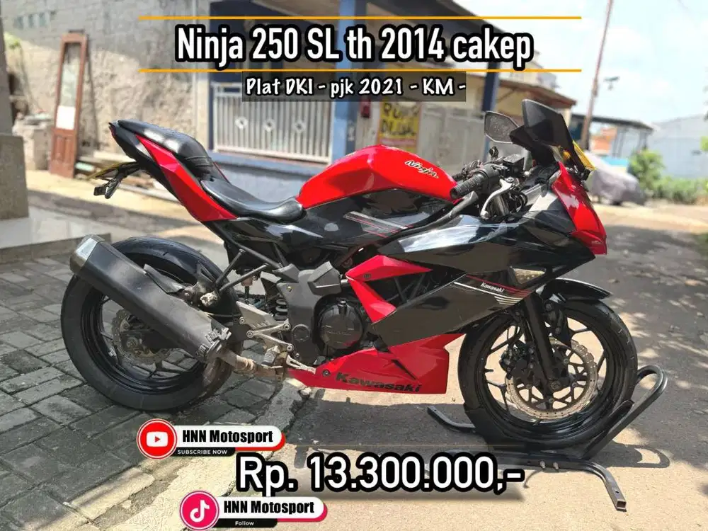Ninja 250 SL 2014 CAKEP