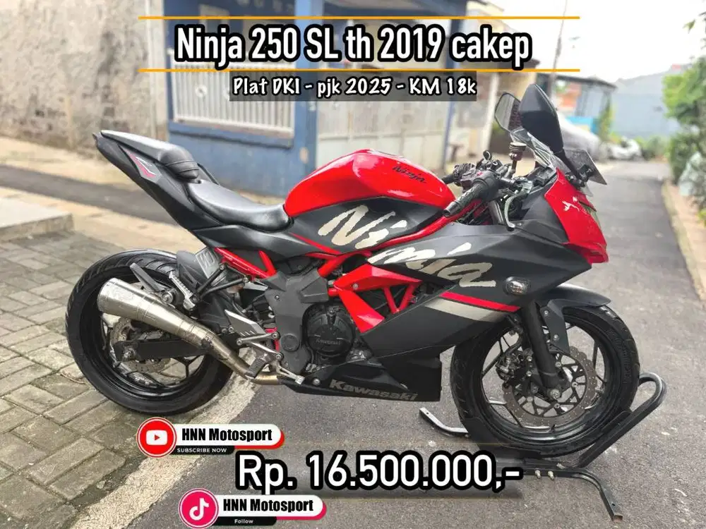 Ninja 250 SL th 2019 Cakep