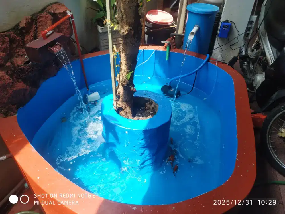 Perawatan kolam ikan& pembuatan kolam