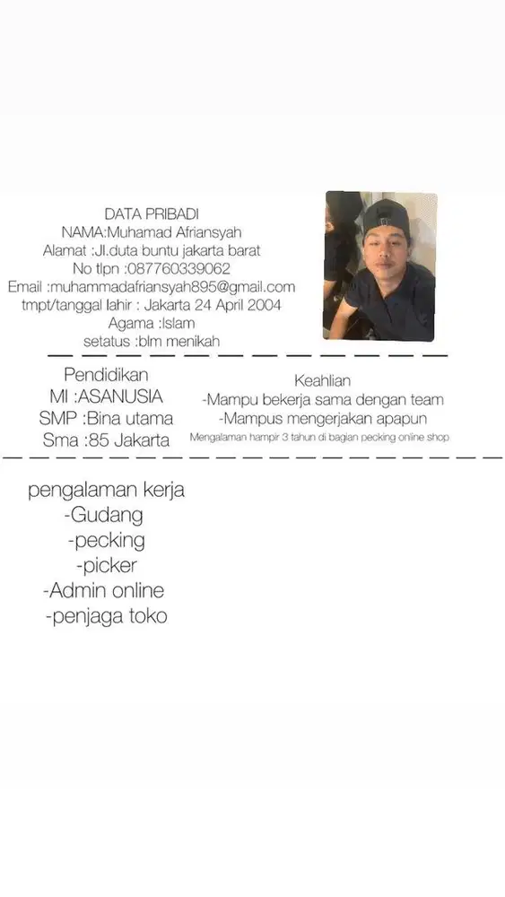 saya mahir di bidang apa pun terutama online shop