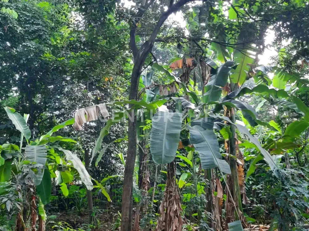 Kavling Kotak Jl. Pladen Bintaro Di Hook Luas Dan Murah