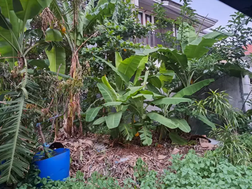Tanah Kavling Hadap Timur di Kavling Kowilhan, Jakarta Timur