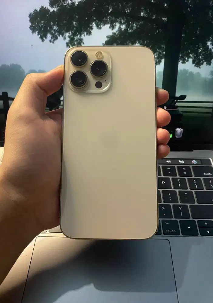 iPhone 13 PRO MAX 256GB Golden Resmi iBox PA/A FULL ORIAN