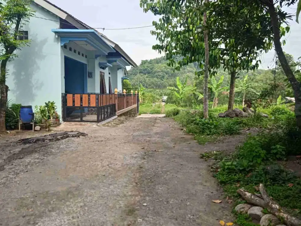 Tanah Pekarangan View Persawahan Di Godean Yogyakarta