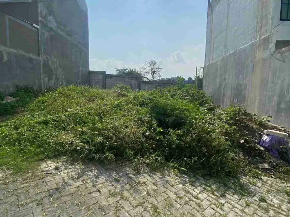 Tanah Murah Dijual Cepat Dekat SUHAT Kampus UB Borobudur