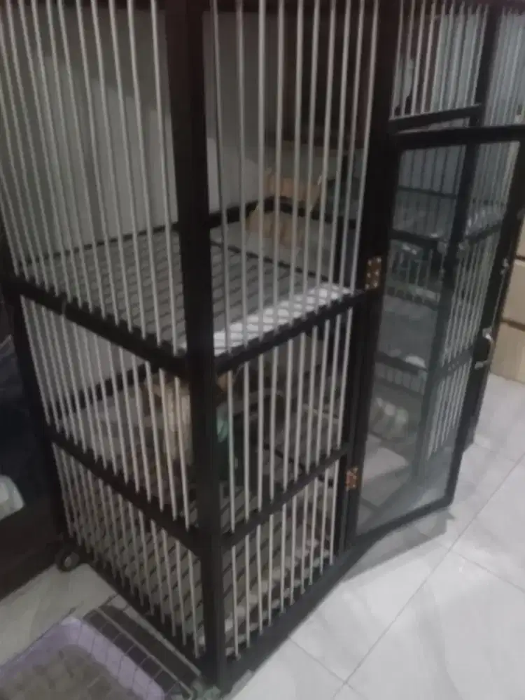 ​Kandang Kucing Tingkat 120x60x120