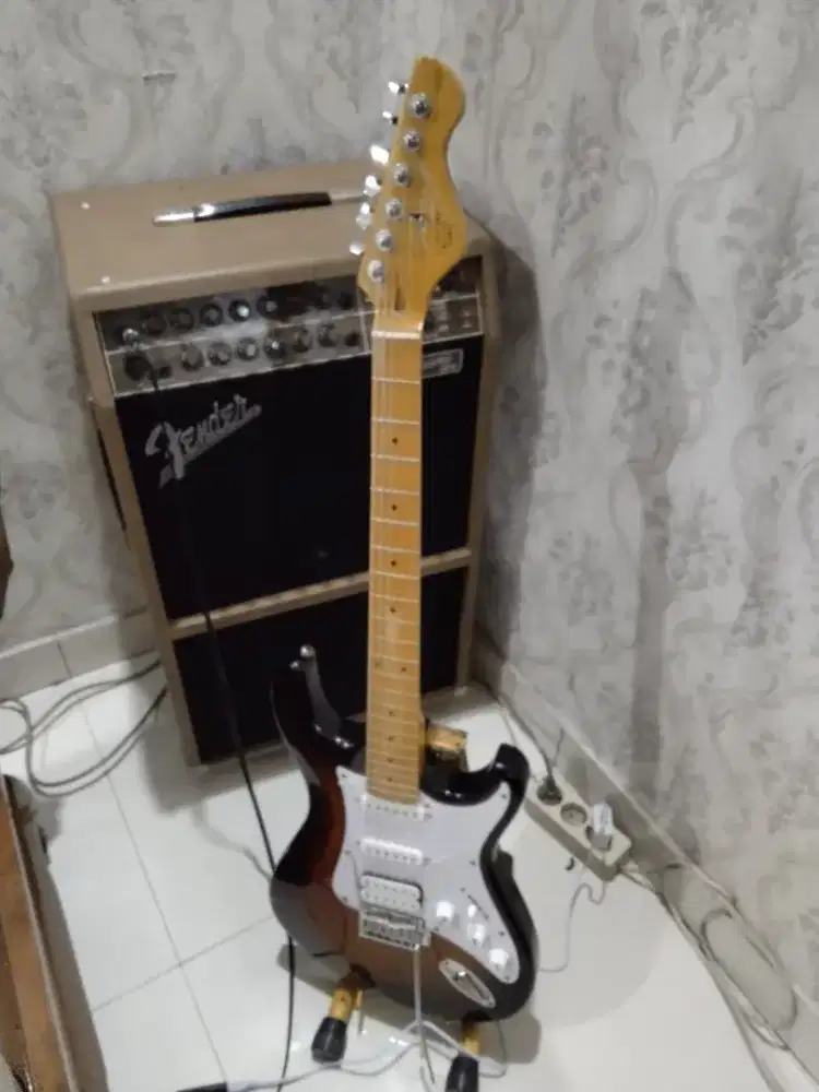 Gitar Elektrik Tagliare Privat Label