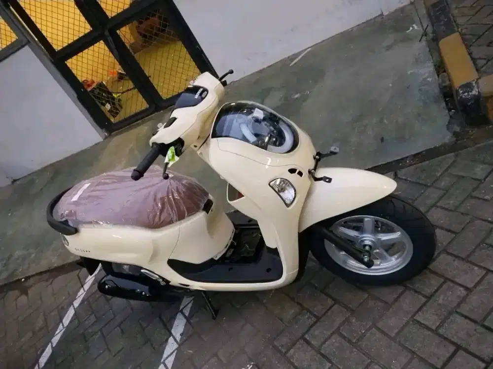 HONDA SCOOPY STYLISH