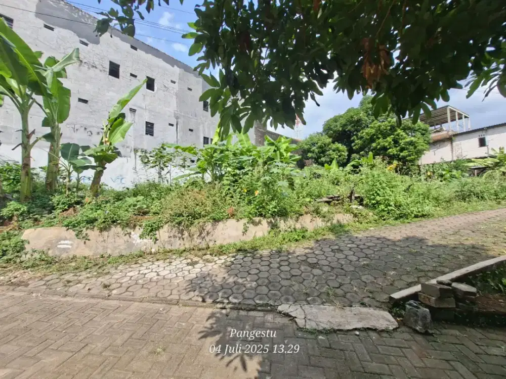 TANAH RING SATU TUNJUNG SARI DEPAN KAMPUS UNDIP TEMBALANG