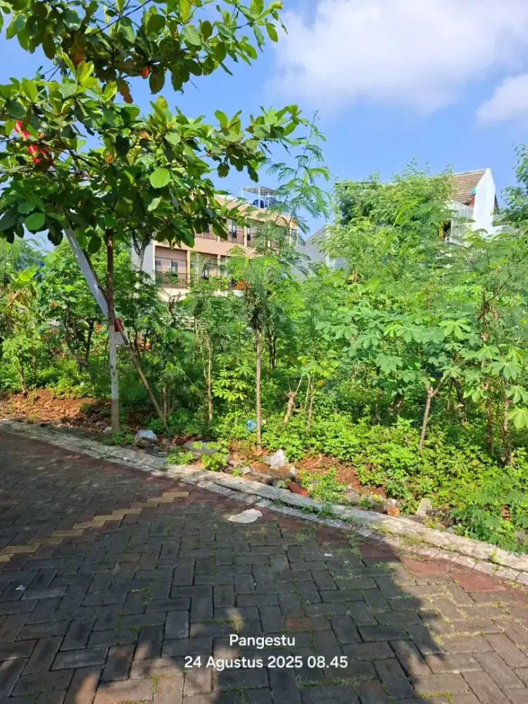 TANAH STRATEGIS BULUSAN UNDIP TEMBALANG