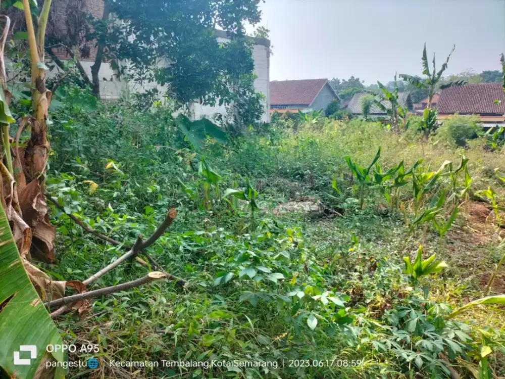 TANAH STRATEGIS GONDANG UNDIP TEMBALANG