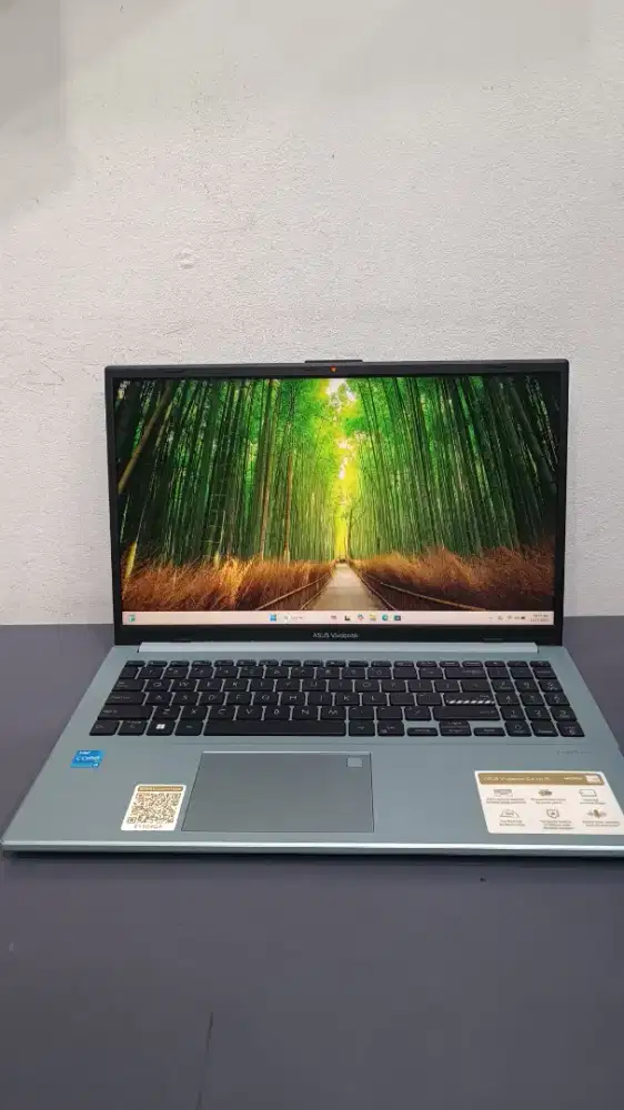 Asus vivobook GO E1504GA
