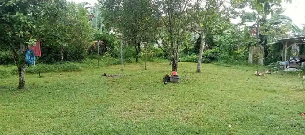 Jual Murah Tanah Bonus Rumah dan Gazebo
