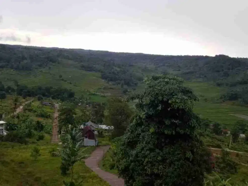 Tanah Kavling Wisata Bogor Sekitar Jakarta Depok Cibubur Sentul Cileungsi Cibarusah Cikarang Bekasi