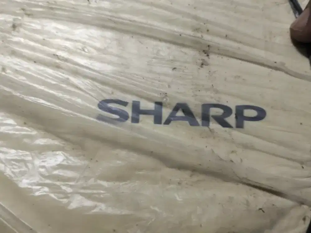 AC Sharp 1 PK Normal