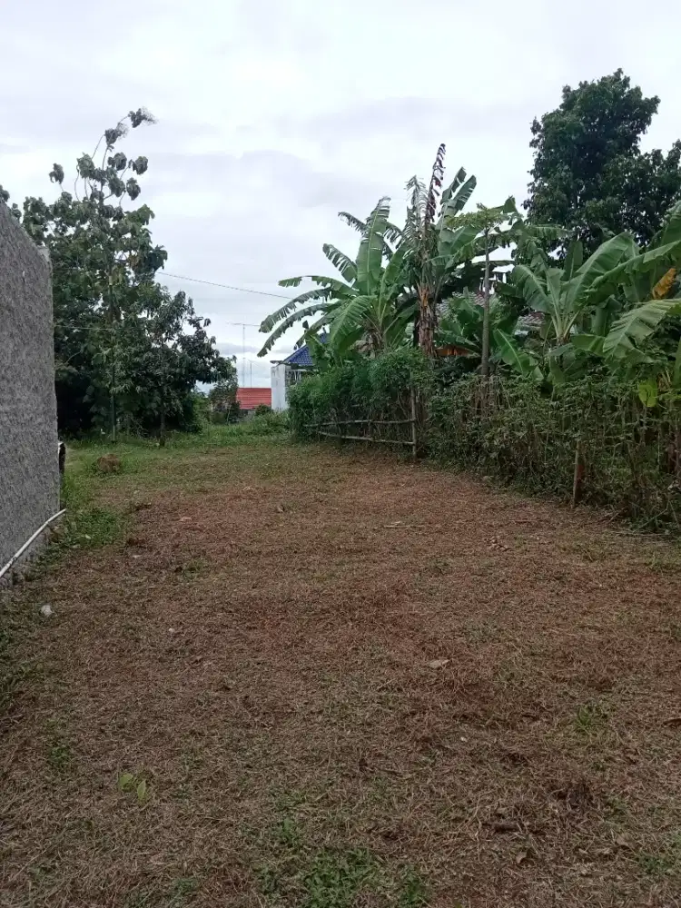 Tanah setrategis di Rajabasa