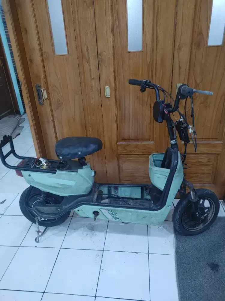 Borong sepeda listrik apa adanya