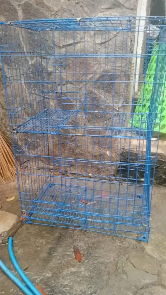 Kandang kucing 2 tingkat