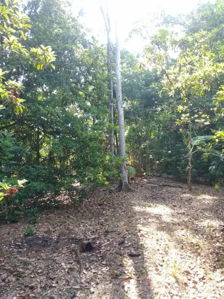 Dijual tanah luas Sumedang desa Pajagan