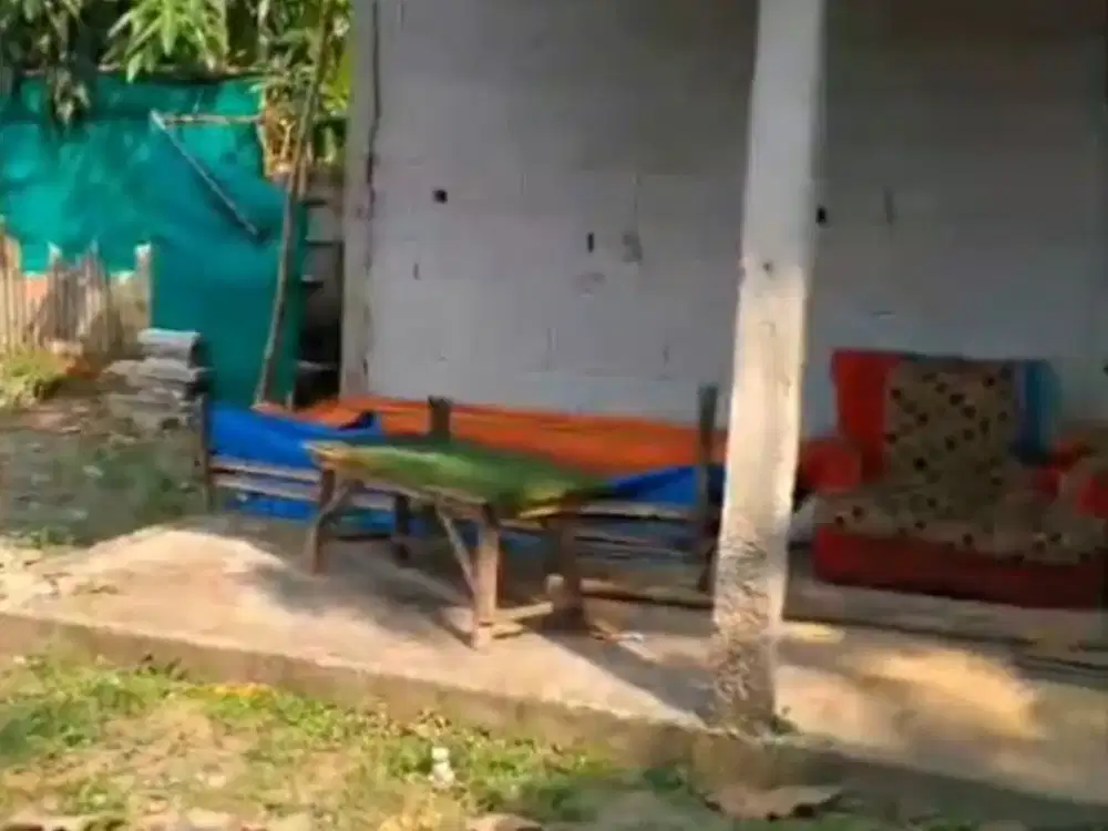 Jual Butuh Tanah Murah