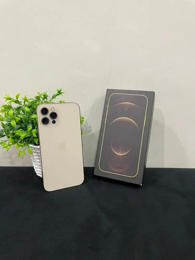 IPhone 12 Pro 128GB Gold mulus Fullset BH 100% Sinyal Permanent