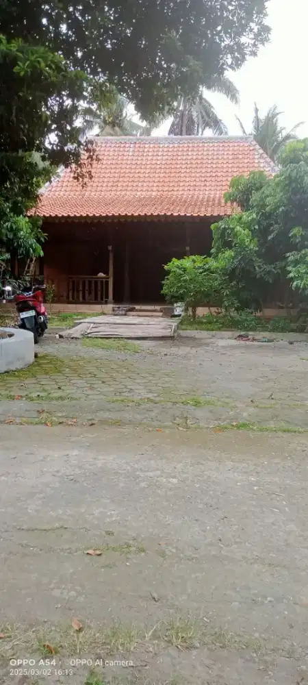 Limasan Kayu Jati Nanggulan