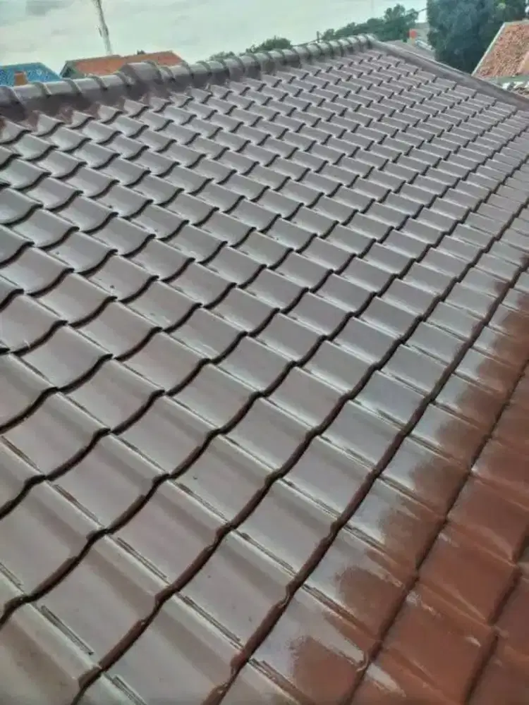 TukanG renovasi atap rmh yg bocor.cat rmh