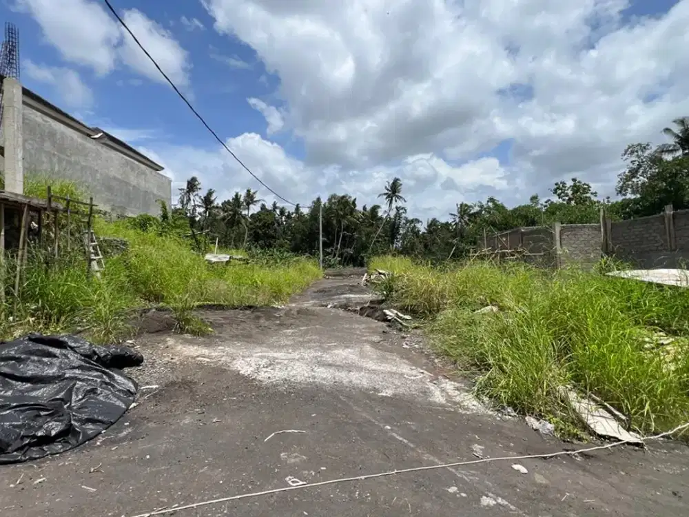 Dijual Tanah BUC Lokasi Di Gerih Blumbungan Abiansemal Badung
