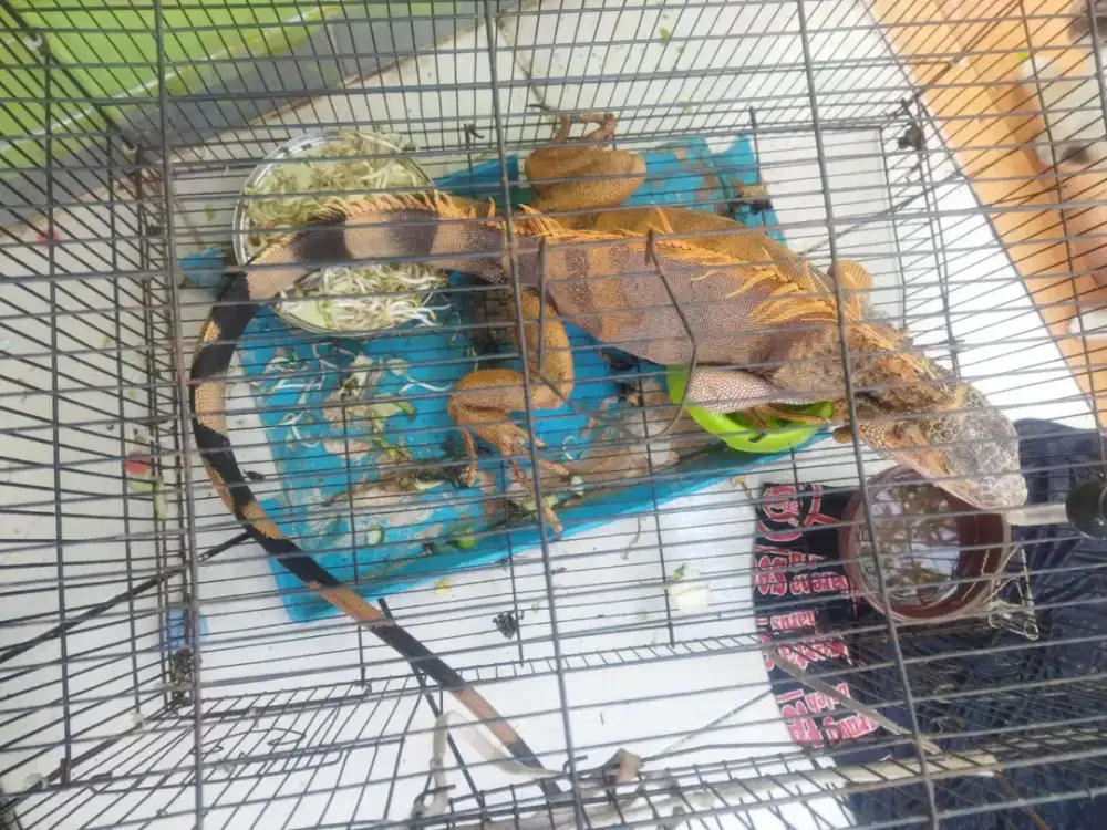 Jual butuh buat keperluan sehari hari