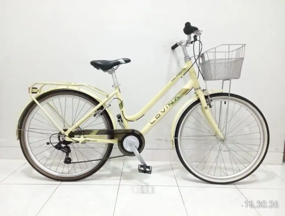 sepeda keranjang Polygon lovina ctb