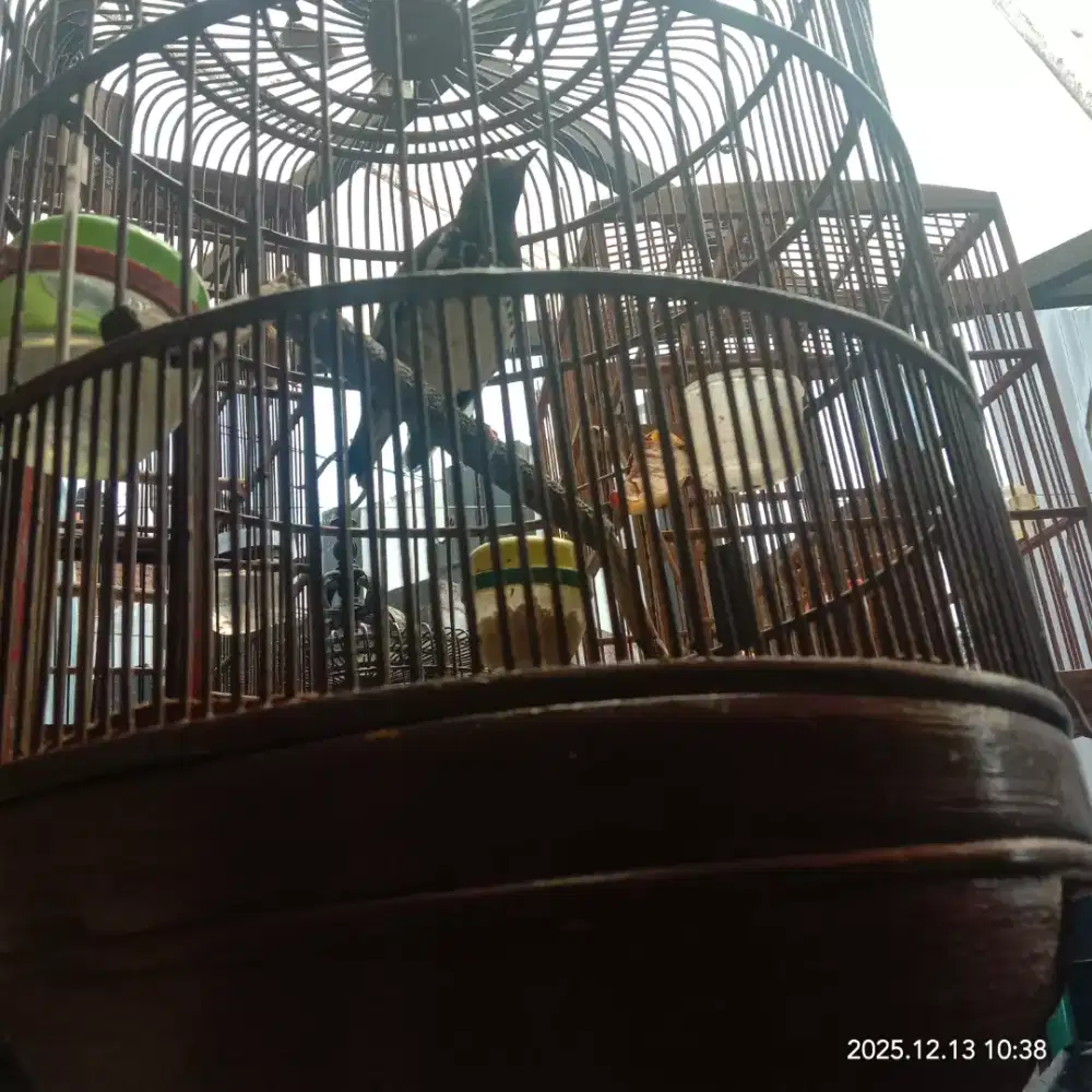 punten ah  p min ngabala mamanawian aya rizkina Ak fs nyada fs