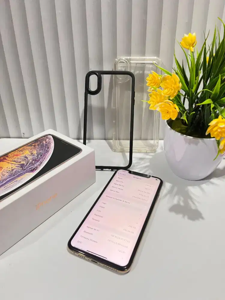 Iphone Xs Max 256 inter (fullset)