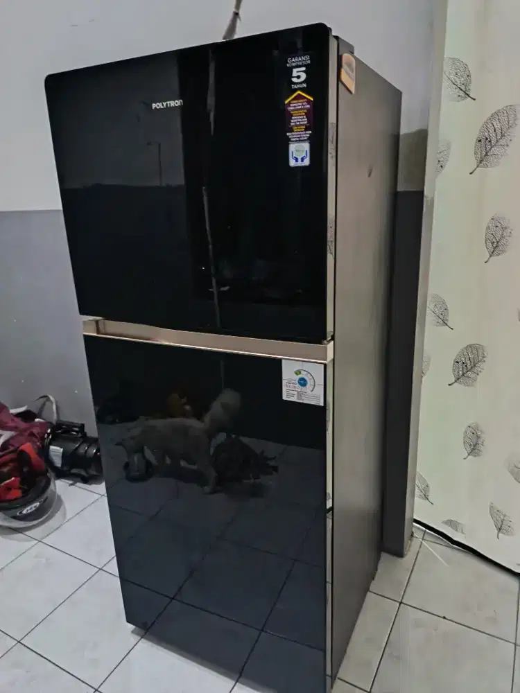 kulkas beleza polytron 2 pintu