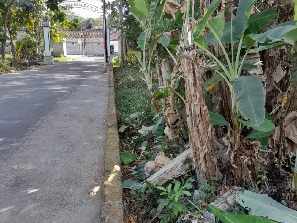 DIjual Tanah SHMP Area Pasar Jangkang Ngemplak Sleman