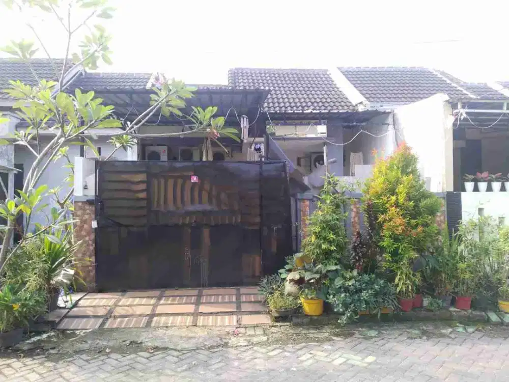 DIJUAL RUMAH 
PERUM ISTANA MENTARI E4 NO 34
KEL. : CEMENGKALANG
KEC  : SIDOARJO
KAB  : SIDOARJO