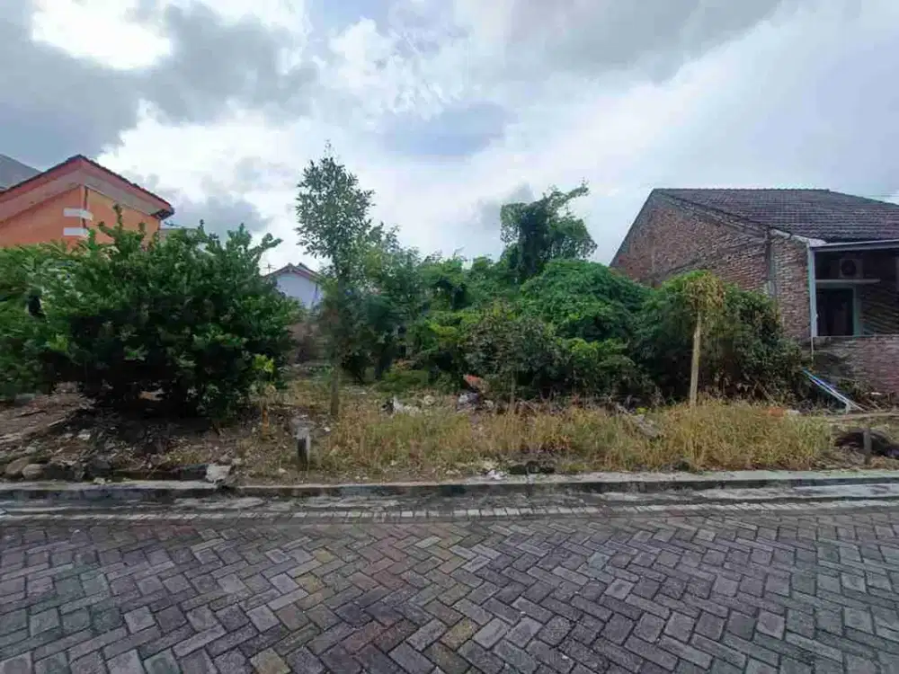 Tanah Kavling di Dalam Perumahan Kinijaya Kedungmundu Tembalang