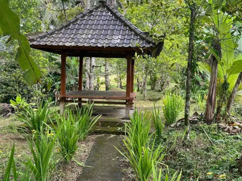 Di jual tanah kebun los sungai dengan view sawah