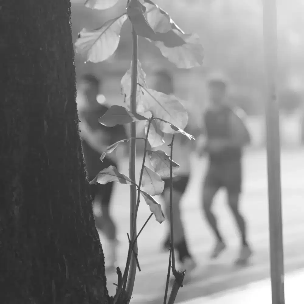 Teman Lari untuk Pemula