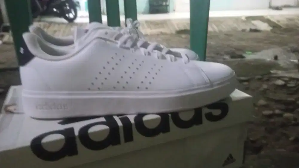 Sepatu Adidas advantage  white