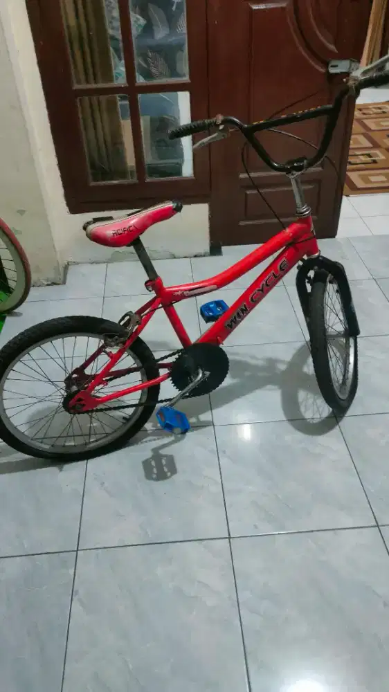 Sepeda Anak Anak
