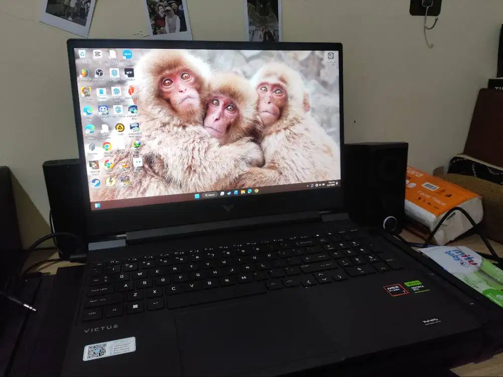 HP Victus 15 Ryzen 7 RTX 4060